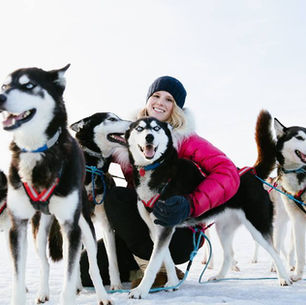 Top 5 Ethical Dog Sled Operators in Alaska 