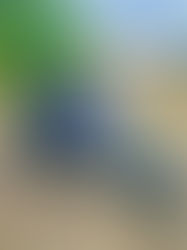 4º Moto Fest de Itabaiana movimenta a cidade e reforça a cultura motociclista