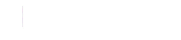 Desarrollo Web