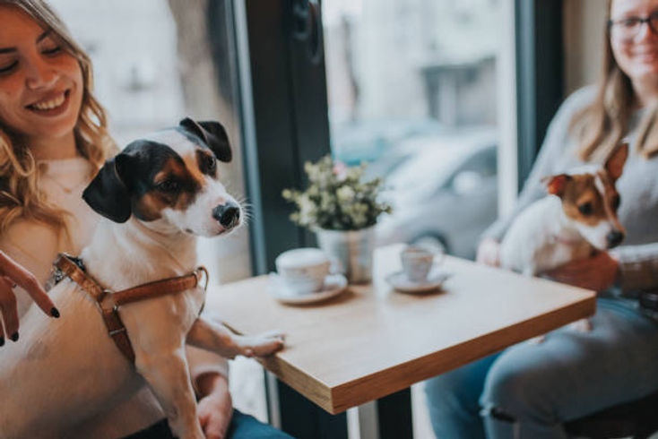 istockphoto-1097069848-612x612.jpeg