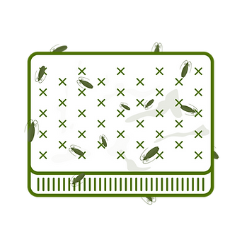 blog bugs copy 3_050521.png
