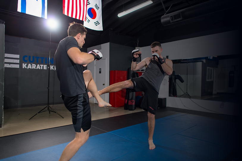 muay thai front kick