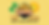CAMP WEBSITE.png