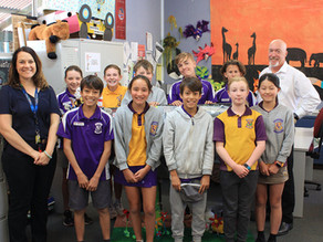 Picasso Cow wins BRONZE!