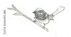 Willy Wag Tail