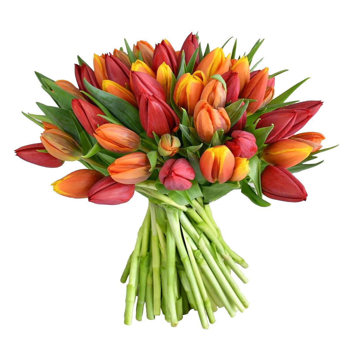 UK | Orange Crush