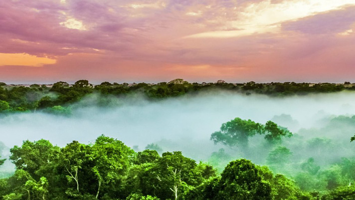 Minerar a Amazônia traz baixo retorno para as comunidades locais