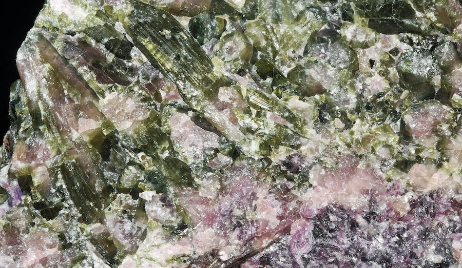 ree