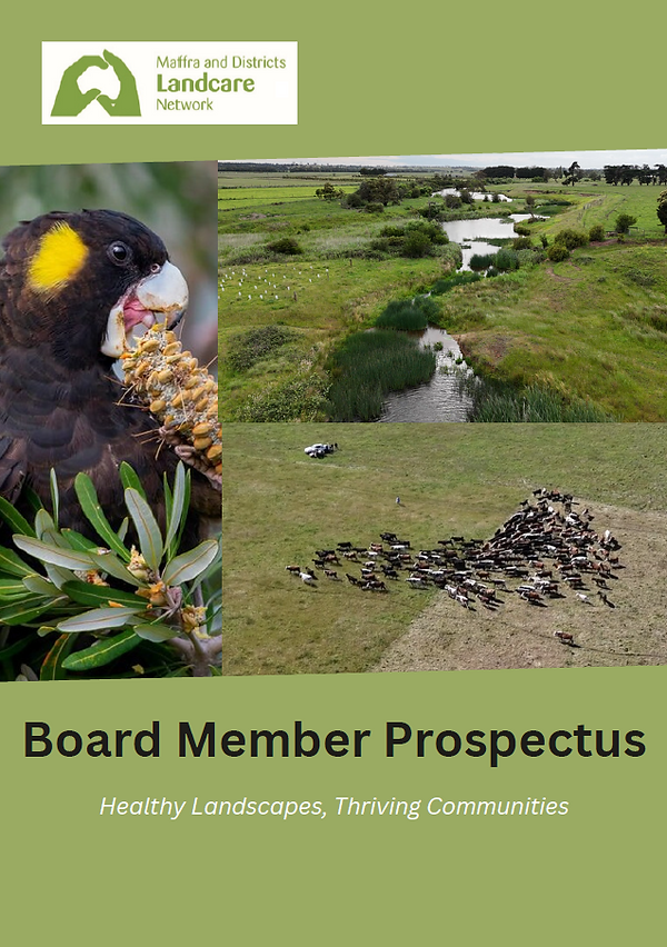 Board Prospectus cover screenshot.png