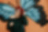 thecurlsaloon_hi_res-71.jpg