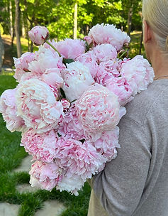 Peonies, Karey Bancroft