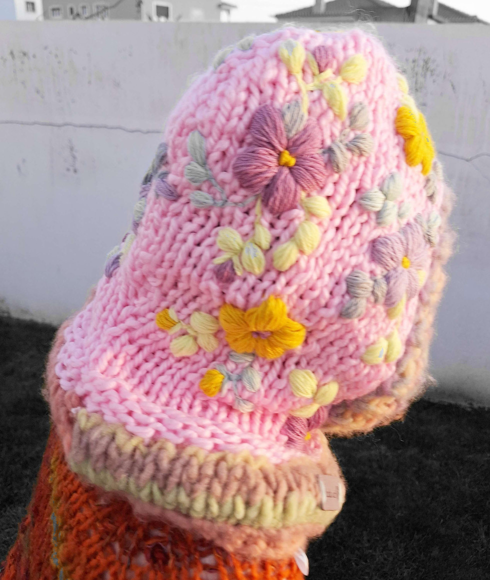 Miniatura: Gorros de Gola Bordados