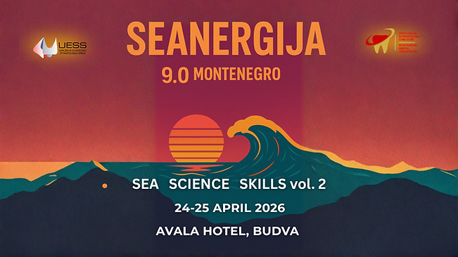 Sinergija 9.0 Website.png