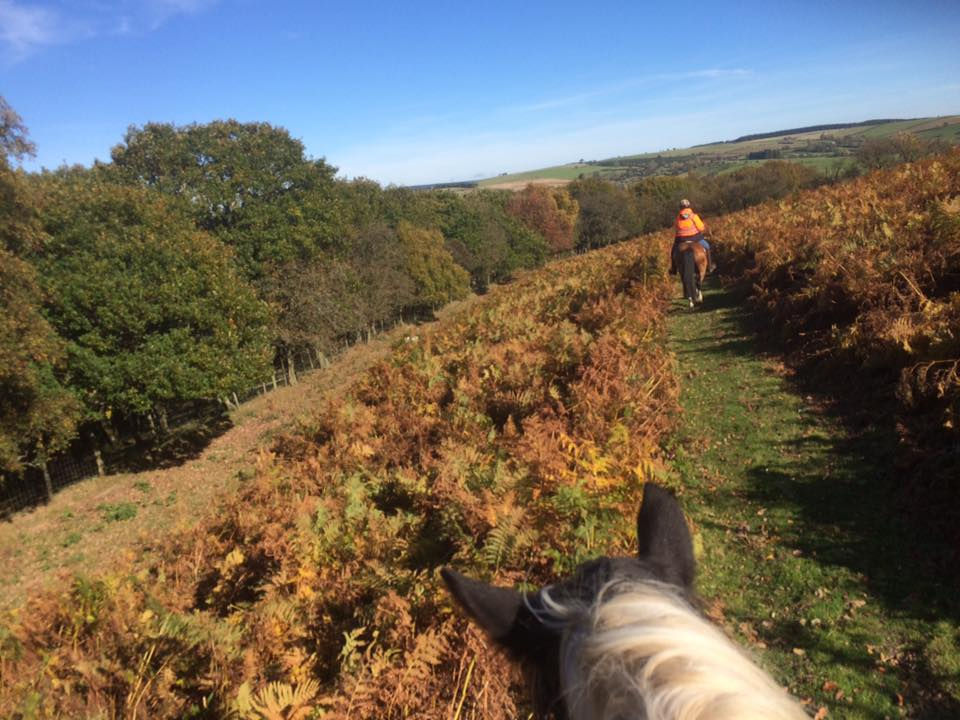 Navigation for TREC weekend camp