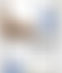 A armadilha em sentido conotativo