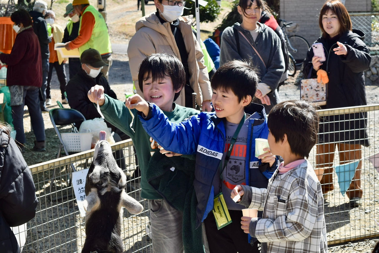 馬とび