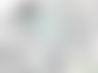 Mallaskoski Brewery & BrewSeeker Import