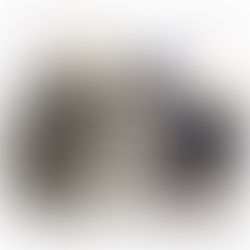 フラワー1 バラ