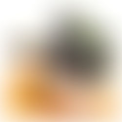 秋の実もの