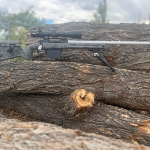 Outdoor Rifle Displays