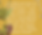 Thumbnail: WILD GODDESS