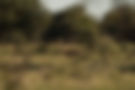 _A748064.jpg