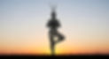 vecteezy_tangled-vines-silhouette-shaped-like-yoga-posture-under-soft_70526319.jpg