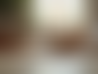 Why Los Angeles Pet Sitting Services Are a Game-Changer for Pet Owners