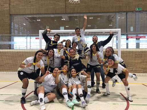 CAMPEONAS PRE LIBERTADORES