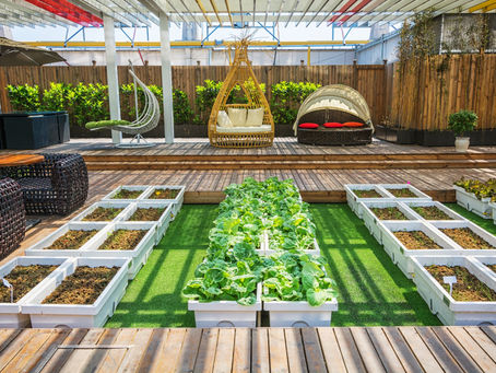 Planning a Garden Makeover? Here’s How to Choose Patio Contractors in London