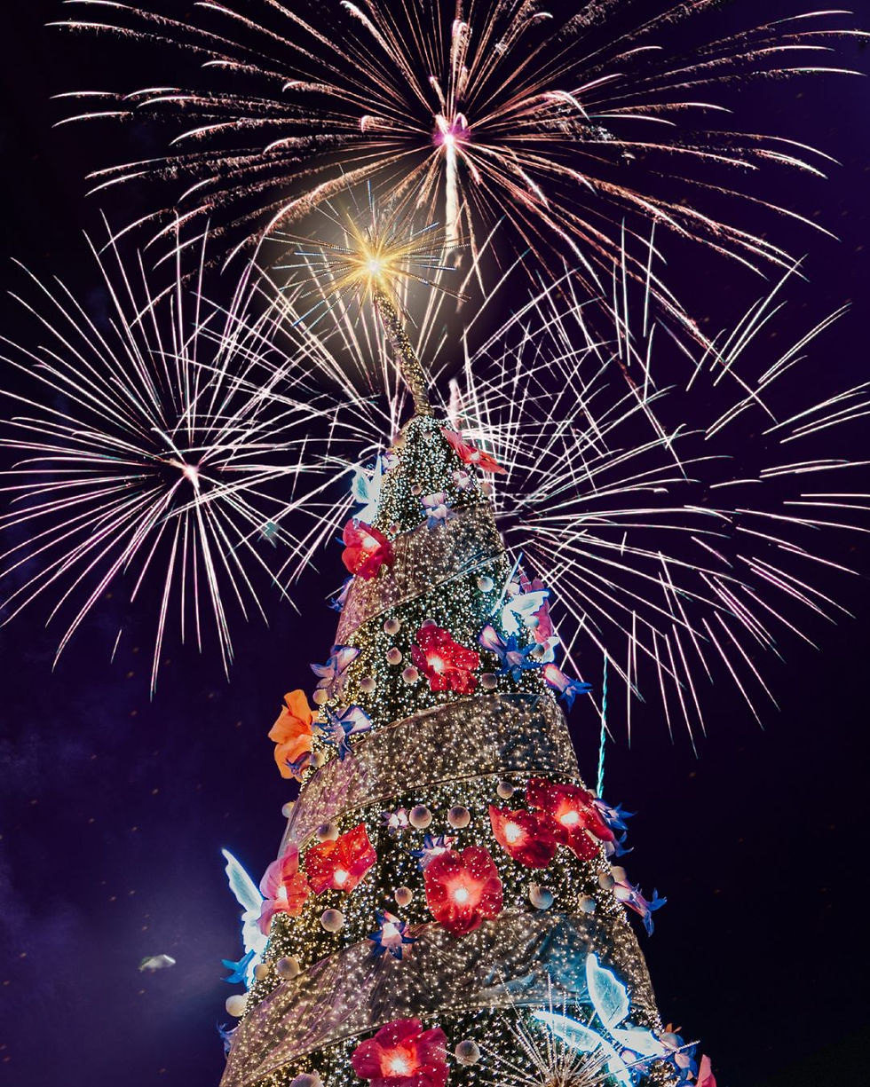 A Magical Christmas Eve