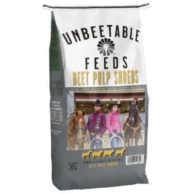 Pulpe Betterave Râpée