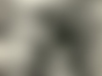 Marighella: biografia e curiosidades