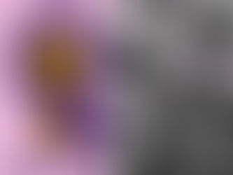 Uma linha do tempo das Conquistas do Feminismo no Brasil