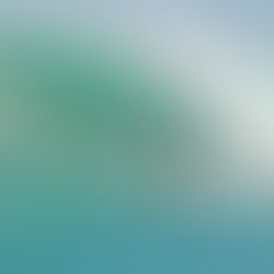 7 picos de surf que você precisa conhecer no Rio Grande do Norte