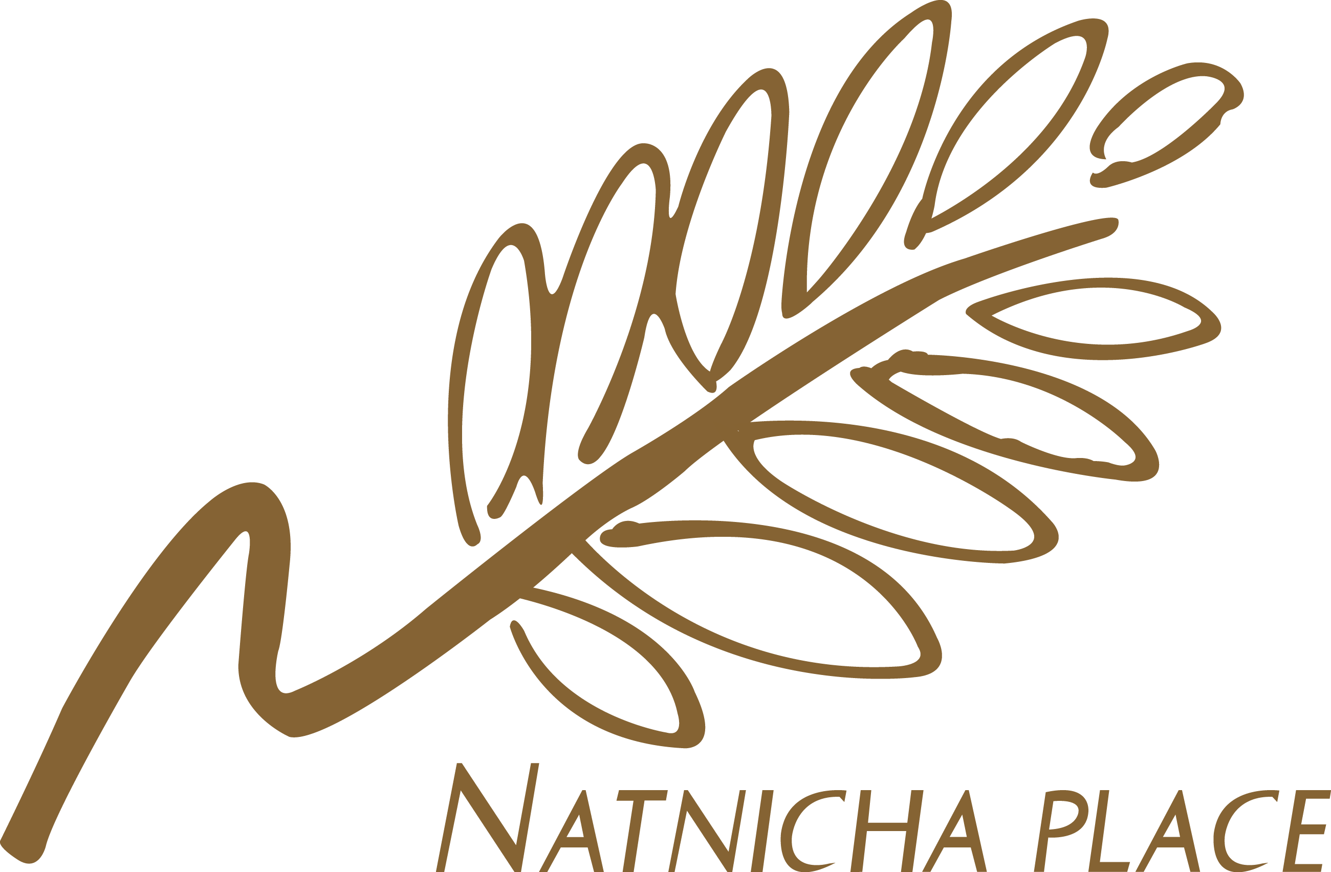 Natnicha Place