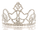 Silver Rhinestone Crown_edited.png