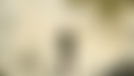 Doppelt hält besser!