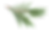 Foliage