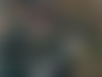 POLK COUNTY: 93 ACRES M/L