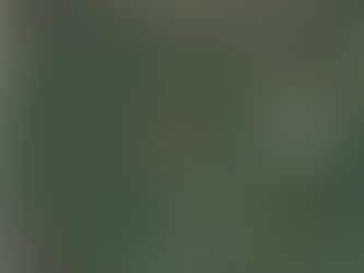 WRIGHT COUNTY: 160 ACRES M/L