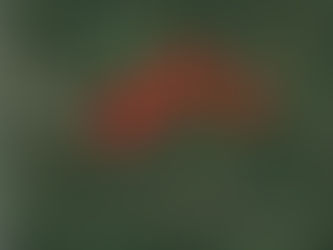 HUMBOLDT COUNTY: 158 ACRES M/L