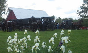Springtime in the community!