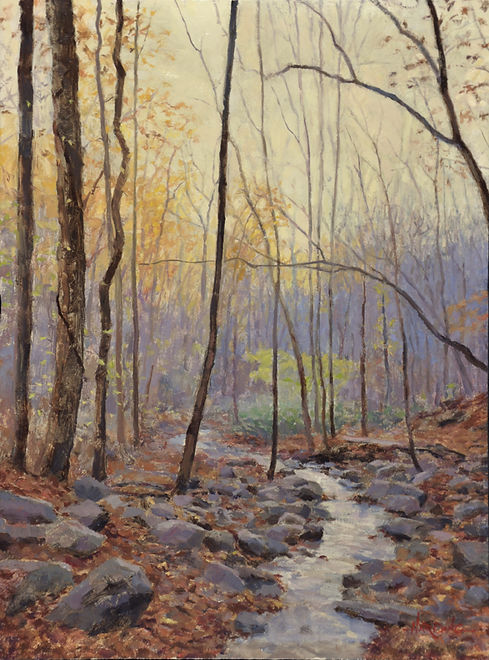 "Dawn in the Forest"
