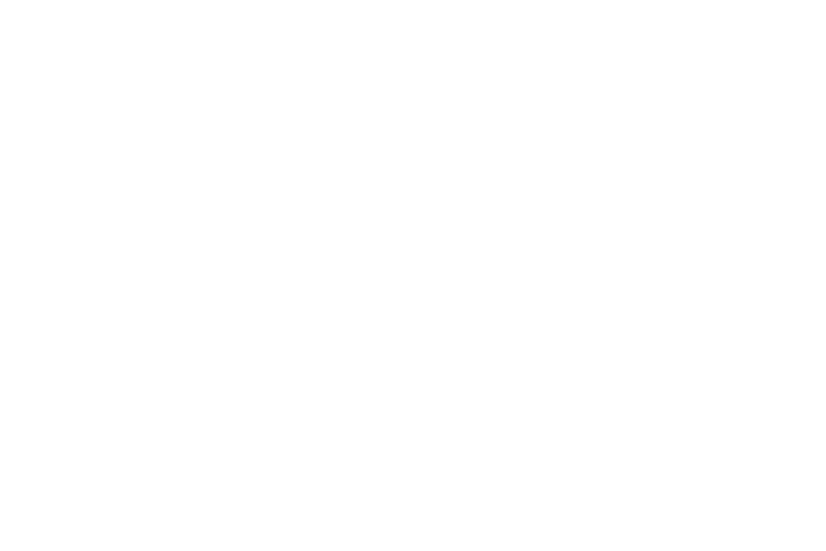 Website.png