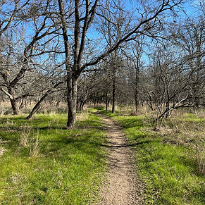 Garlic Creek Trail in Buda is undergoing a Phase II extension within Garlic Creek Park, a 40-acre space south of RM 967. The project includes a natural pedestrian trail with bridges connecting to the White Oak Preserve neighborhood. Originally part of the 2014 Buda Bond election, the trail’s construction began in December 2024 and is expected to be completed by May 2025. Additional funding includes $445K from the 2021 Buda Bond, along with contributions from the 2014 Buda Bond and the Hays County 2020 Parks & Open Space Bond. 