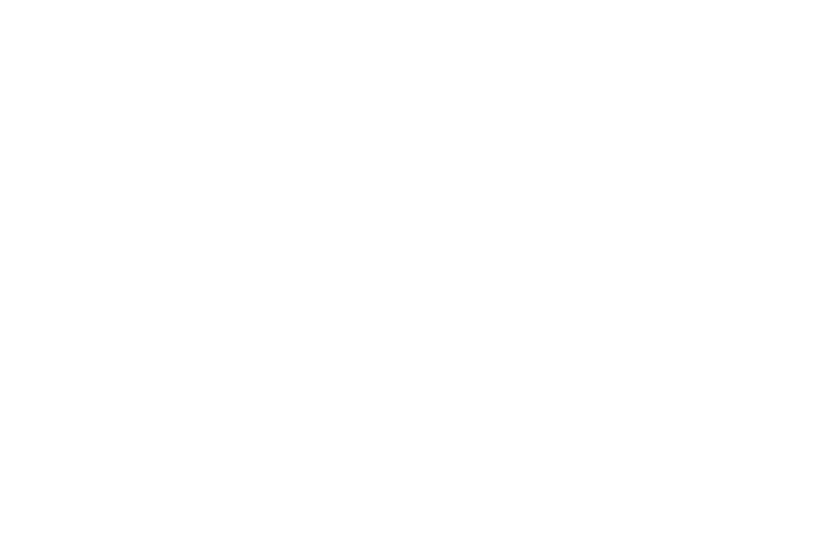 Survey.png