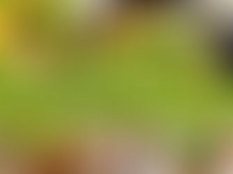 Understanding Nutrition: A Comprehensive Guide to Essential Nutrients and Pre/Post-Workout Eating