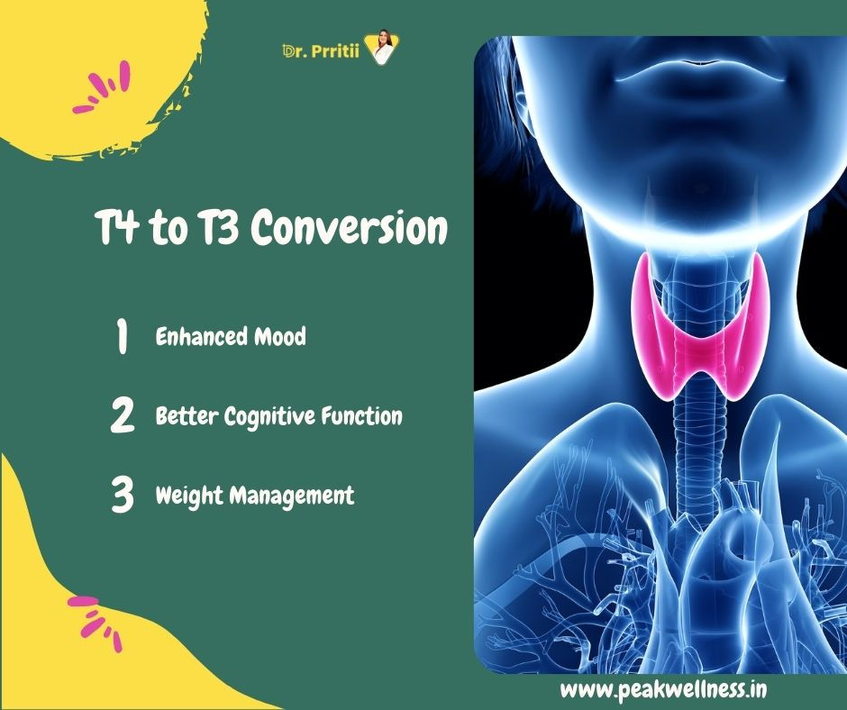 t4 to t3 thyroid hormone