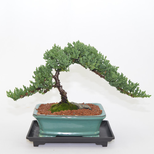 fagus holzkran Fagus Hochkran  Robuster Holzkran fr kleine Baumeister  KLICKKLACK